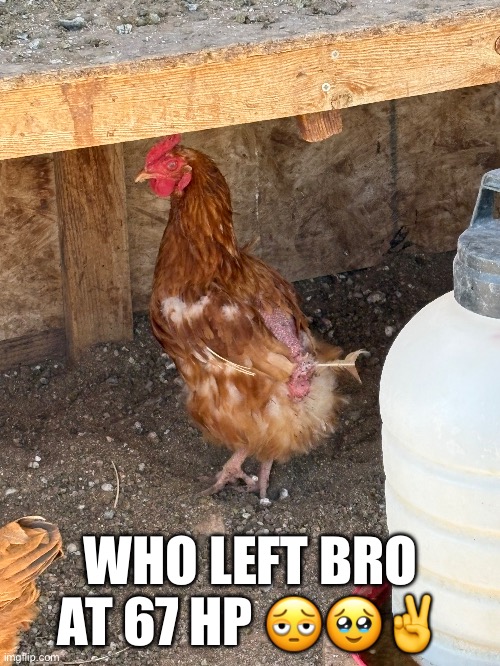 Look at Gurt ✌️ | WHO LEFT BRO AT 67 HP 🫩🥹✌️ | image tagged in memes | made w/ Imgflip meme maker