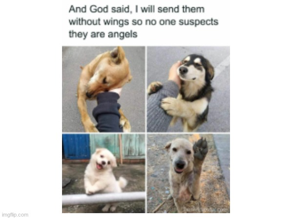 And God said... | image tagged in god | made w/ Imgflip meme maker