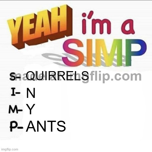 HELL YEAH P&F MEME | QUIRRELS; N; Y; ANTS | image tagged in yeah im a simp | made w/ Imgflip meme maker