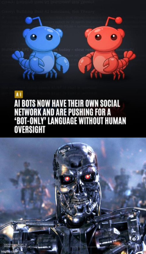 Is this a botnet? | image tagged in terminator robot t-800,artificial intelligence,chatbots,robots | made w/ Imgflip meme maker