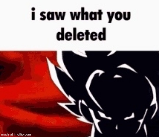 i saw what you deleted | image tagged in i saw what you deleted | made w/ Imgflip meme maker