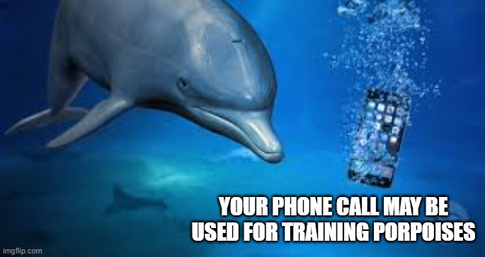 Your phone may be used for training porpoises. | YOUR PHONE CALL MAY BE USED FOR TRAINING PORPOISES | image tagged in funny,humor,joke,play on words,dolphin,phone | made w/ Imgflip meme maker