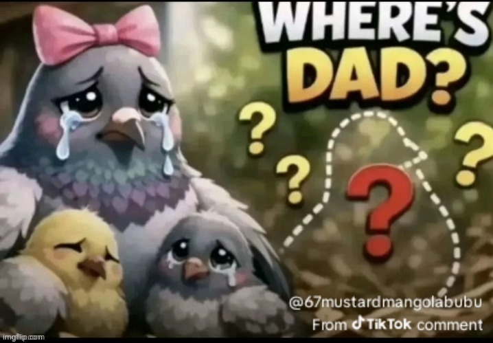 Where’s dad birds reaction image | image tagged in where s dad birds reaction image | made w/ Imgflip meme maker