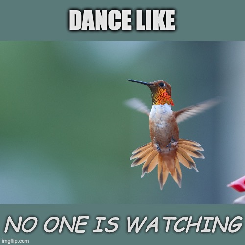 Carmen Miranda | DANCE LIKE; NO ONE IS WATCHING | image tagged in carmen miranda | made w/ Imgflip meme maker