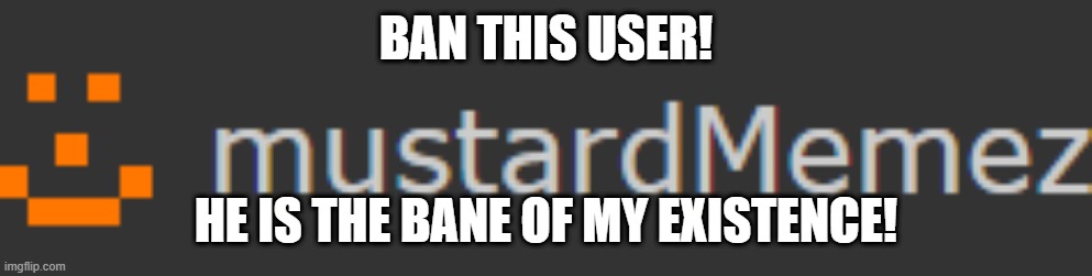 I hate this user | BAN THIS USER! HE IS THE BANE OF MY EXISTENCE! | image tagged in fun | made w/ Imgflip meme maker