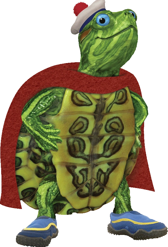 Tuck the turtle Blank Meme Template