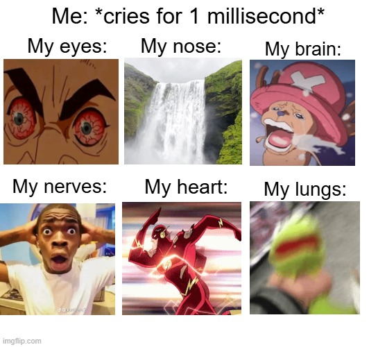 Why Must You Torture Me So.... | Me: *cries for 1 millisecond*; My nose:; My eyes:; My brain:; My nerves:; My lungs:; My heart: | image tagged in crying,memes,meme,face,anatomy,body | made w/ Imgflip meme maker