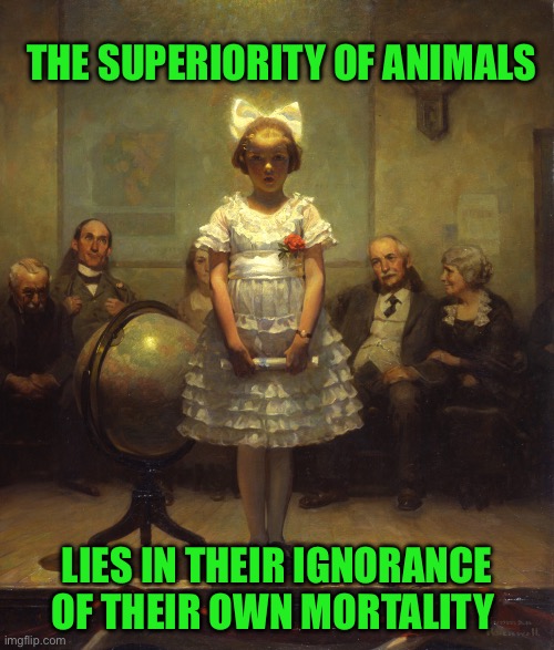 Rockwell | THE SUPERIORITY OF ANIMALS; LIES IN THEIR IGNORANCE OF THEIR OWN MORTALITY | image tagged in rockwell | made w/ Imgflip meme maker