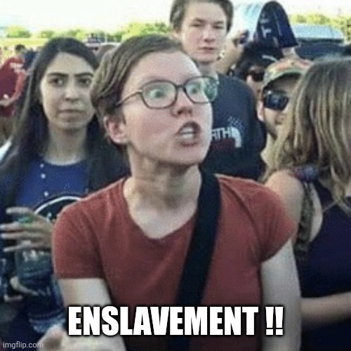 Enslavement | ENSLAVEMENT !! | image tagged in gender outrage | made w/ Imgflip meme maker
