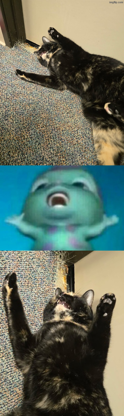 silly goose | made w/ Imgflip meme maker