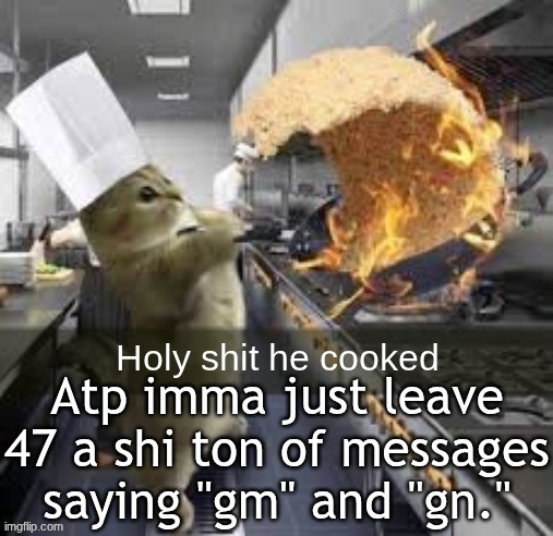 Why? Idk. | Atp imma just leave 47 a shi ton of messages saying "gm" and "gn." | image tagged in holy shit he cooked | made w/ Imgflip meme maker