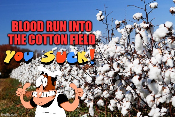 Cotton Field | BLOOD RUN INTO THE COTTON FIELD | image tagged in cotton field | made w/ Imgflip meme maker