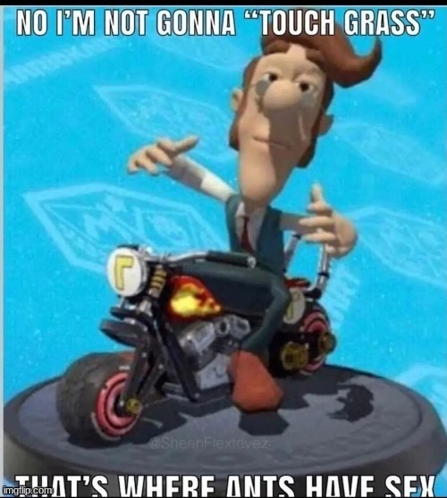 Not gonna touch grass Blank Meme Template