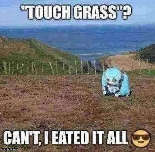 Touch grass? Can't, I eated it all | image tagged in touch grass can't i eated it all | made w/ Imgflip meme maker