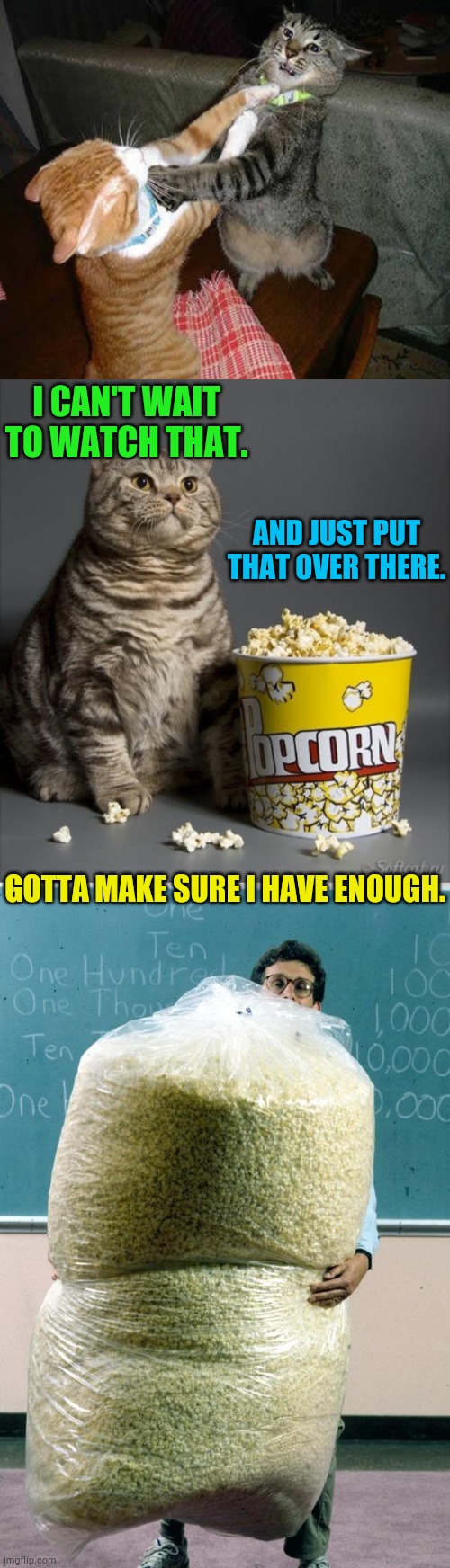 I CAN'T WAIT TO WATCH THAT. GOTTA MAKE SURE I HAVE ENOUGH. AND JUST PUT THAT OVER THERE. | image tagged in cat watching other cats fight,giant bag of popcorn | made w/ Imgflip meme maker