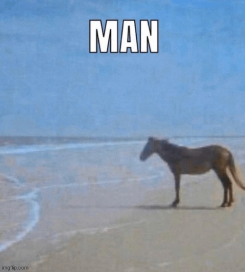 Horse man | image tagged in horse man | made w/ Imgflip meme maker