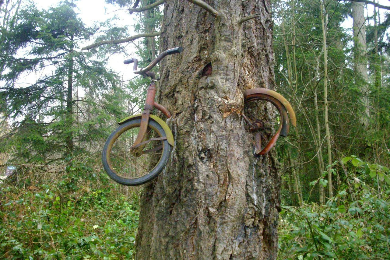 Mmm, yummy tree! Blank Meme Template