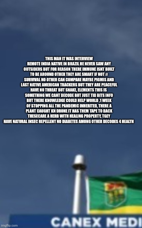 The man in jungle has the answers,the world is distracted | THIS MAN IT WAS INTERVIEW REMOTE INDIA NATIVE IN BRAZIL HE NEVER SAW ANY OUTSIDERS BUT FOR REASON THERE IMMUNE ISNT BUILT TO BE AROUND OTHER THEY ARE SMART IF NOT # SURVIVAL NO OTHER CAN COMPARE MAYBE PIGMIS AND LAST NATIVE AMERICAN TRACKERS BUT THEY ARE PEACEFUL HAVE NO THREAT BUT SNAKE, ELEMENTS THIS IS  SOMETHING WE CANT DECODE BUT JUST TID BITS INFO BUT THERE KNOWLEDGE COULD HELP WORLD ,1 WEEK OF STOPPING ALL THE PANDEMIC INHERITED, THERE A PLANT CAUGHT KN DRONE IT HAS THEM TAPE TO BACK THESECARE A HERB WITH HEALING PROPERTY, TGEY HAVE NATURAL INSEC REPELLENT NO DIABETES AMONG OTHER DECODES 4 HEALTH | image tagged in wtf,wow | made w/ Imgflip meme maker