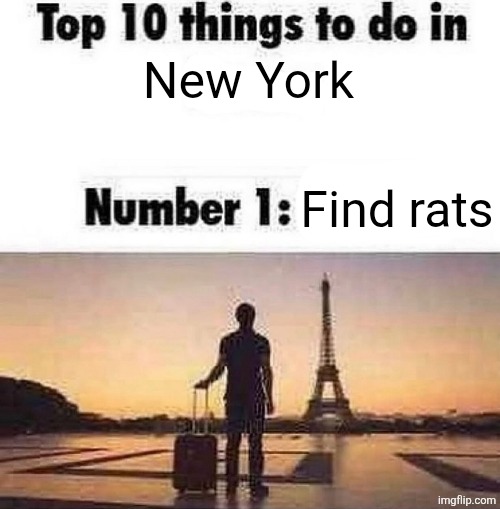 Top 10 things to do in blank | New York; Find rats | image tagged in top 10 things to do in blank | made w/ Imgflip meme maker