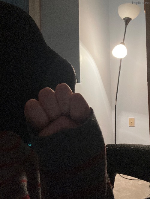 Training in the art of paw | made w/ Imgflip meme maker