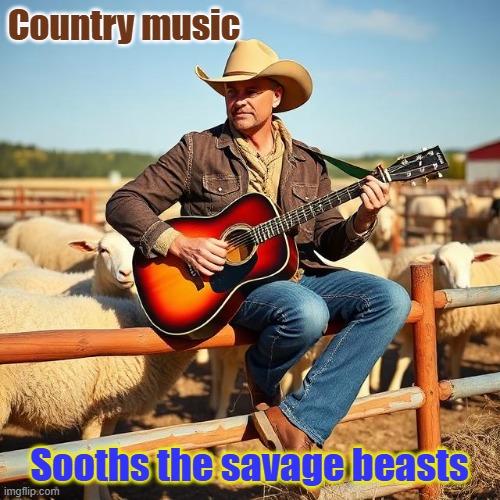 Music and sheep relax when you can | Country music; Sooths the savage beasts | image tagged in ai generated,sheep,cowboy with guitar,farming | made w/ Imgflip meme maker