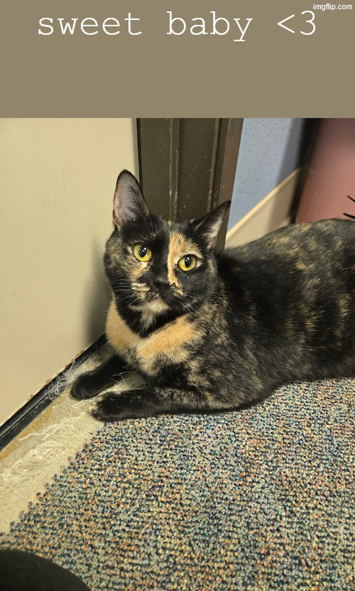 sweet baby <3 | made w/ Imgflip meme maker