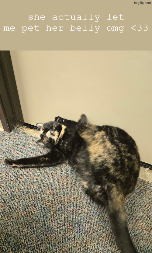 she actually let me pet her belly omg <33 | made w/ Imgflip meme maker