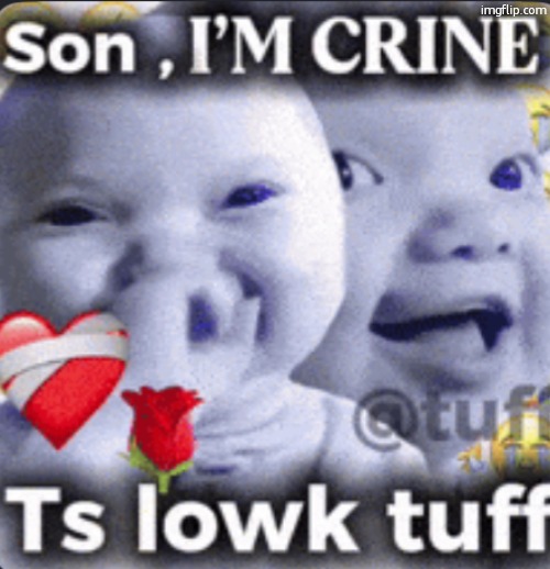 son im crine | image tagged in son im crine | made w/ Imgflip meme maker