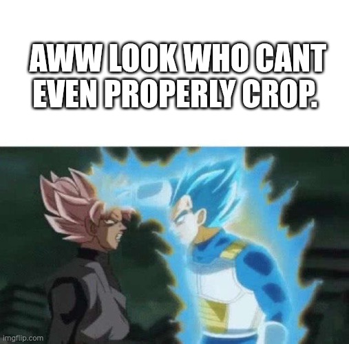 Aww look who can’t say | AWW LOOK WHO CANT EVEN PROPERLY CROP. | image tagged in aww look who can t say | made w/ Imgflip meme maker