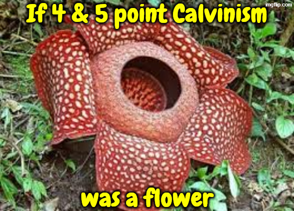 A Corpse Flower Fits beautifully | image tagged in calvinism,calvinist memes,anti calvinism,reformed theology,corpse,theology | made w/ Imgflip meme maker