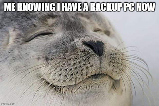 ME KNOWING I HAVE A BACKUP PC NOW | image tagged in memes,satisfied seal | made w/ Imgflip meme maker