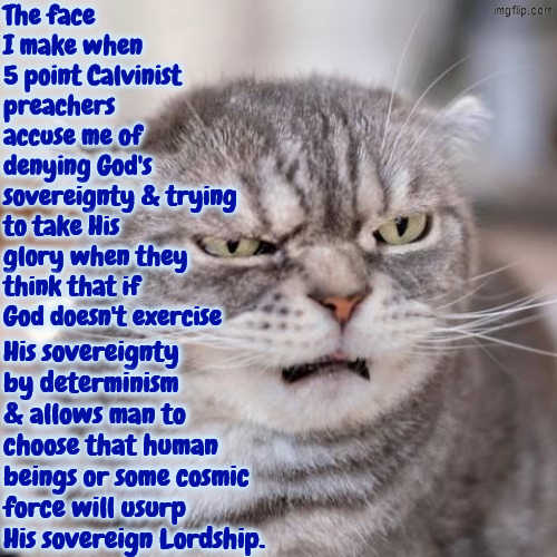 This suggestion is just asinine | image tagged in calvinism,calvinist memes,anti calvinism,reformed theology,impossible,bored of this crap | made w/ Imgflip meme maker