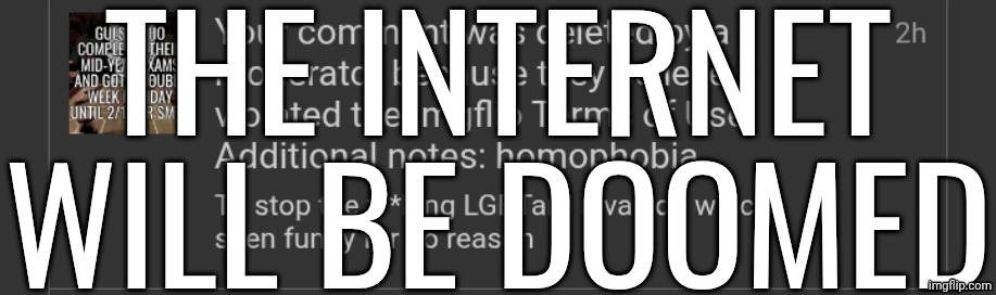 + the yoshi ass post style | THE INTERNET WILL BE DOOMED | made w/ Imgflip meme maker