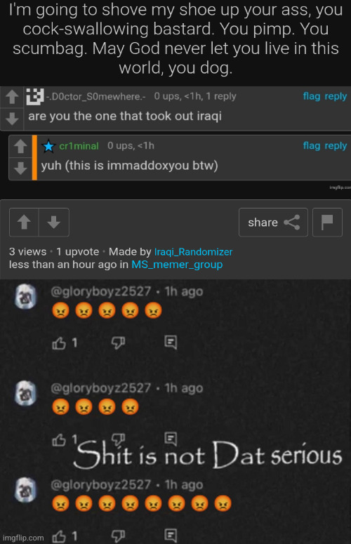 cussing me out cuz he's homophobic | image tagged in shit is not dat serious | made w/ Imgflip meme maker