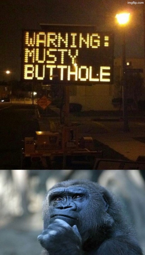 A Musty What? | image tagged in dafuq did i just read,what a terrible day to have eyes,butthole,funny signs,funny road signs,wait what | made w/ Imgflip meme maker