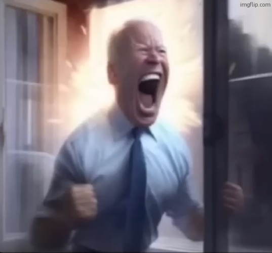 Joe Biden yelling | image tagged in joe biden yelling | made w/ Imgflip meme maker