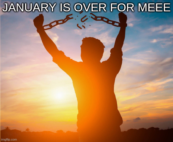 Man breaking free from chains over the sunset | JANUARY IS OVER FOR MEEE | image tagged in man breaking free from chains over the sunset | made w/ Imgflip meme maker
