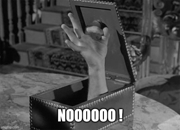 Thing (Addams Family) | NOOOOOO ! | image tagged in thing addams family | made w/ Imgflip meme maker