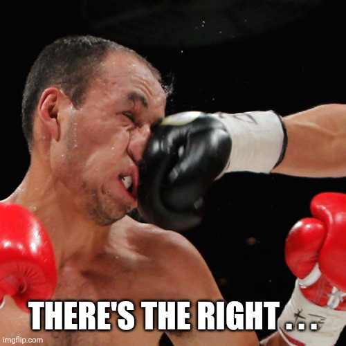 Boxer Getting Punched In The Face | THERE'S THE RIGHT . . . | image tagged in boxer getting punched in the face | made w/ Imgflip meme maker