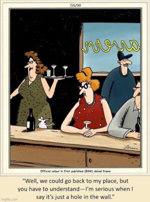 It’s a little small, too… | image tagged in the far side,comics,bar,mouse,my place,hole in the wall | made w/ Imgflip meme maker
