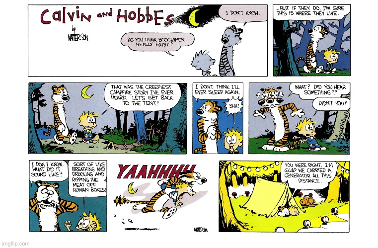 image tagged in calvin and hobbes,comics | made w/ Imgflip meme maker