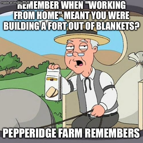 REMEMBER WHEN "WORKING FROM HOME" MEANT YOU WERE BUILDING A FORT OUT OF BLANKETS? | REMEMBER WHEN "WORKING FROM HOME" MEANT YOU WERE BUILDING A FORT OUT OF BLANKETS? PEPPERIDGE FARM REMEMBERS | image tagged in memes,pepperidge farm remembers,blanket,work from home,work sucks,working | made w/ Imgflip meme maker