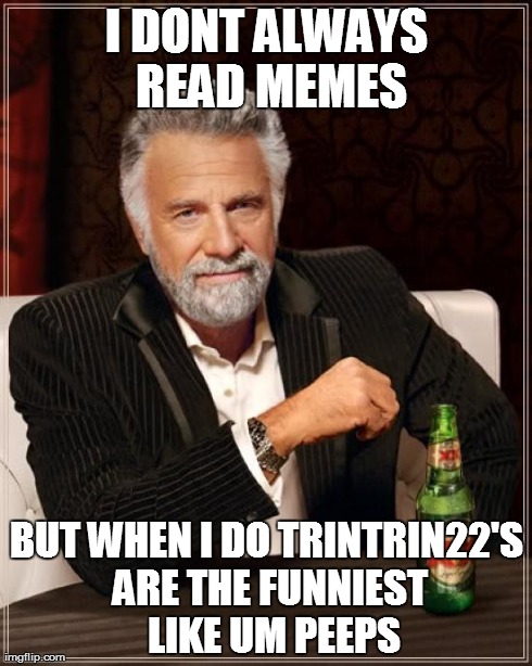 The Most Interesting Man In The World | I DONT ALWAYS READ MEMES BUT WHEN I DO TRINTRIN22'S ARE THE FUNNIEST  LIKE UM PEEPS | image tagged in memes,the most interesting man in the world | made w/ Imgflip meme maker