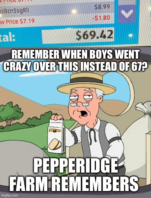 The good old days… | REMEMBER WHEN BOYS WENT CRAZY OVER THIS INSTEAD OF 67? PEPPERIDGE FARM REMEMBERS | image tagged in memes,pepperidge farm remembers,69420,funny,back in my day,the good old days | made w/ Imgflip meme maker