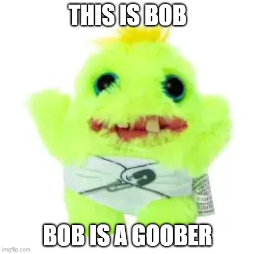 shameless goof | THIS IS BOB; BOB IS A GOOBER | image tagged in shameless goof | made w/ Imgflip meme maker