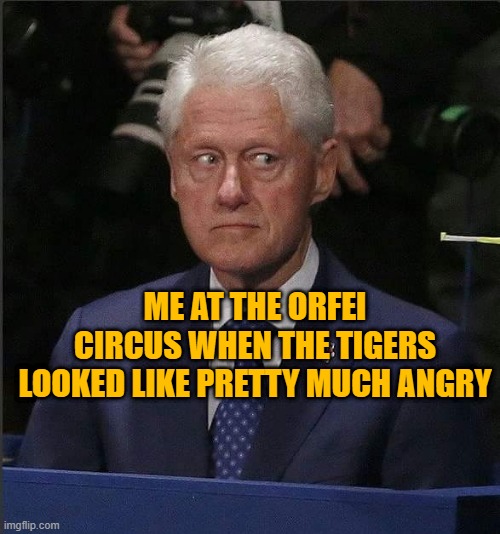 Bill Clinton Scared | ME AT THE ORFEI CIRCUS WHEN THE TIGERS LOOKED LIKE PRETTY MUCH ANGRY | image tagged in bill clinton scared | made w/ Imgflip meme maker