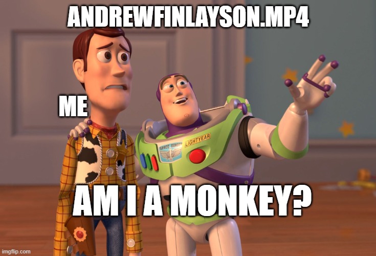 X, X Everywhere Meme | ANDREWFINLAYSON.MP4; ME; AM I A MONKEY? | image tagged in memes,x x everywhere | made w/ Imgflip meme maker