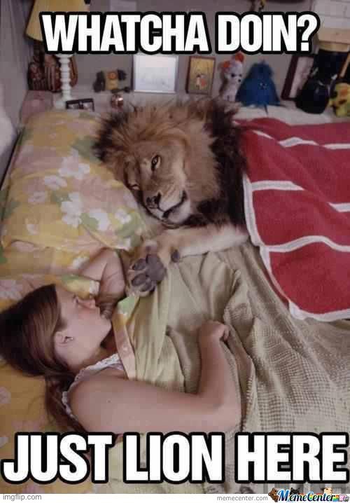 image tagged in just lion here | made w/ Imgflip meme maker