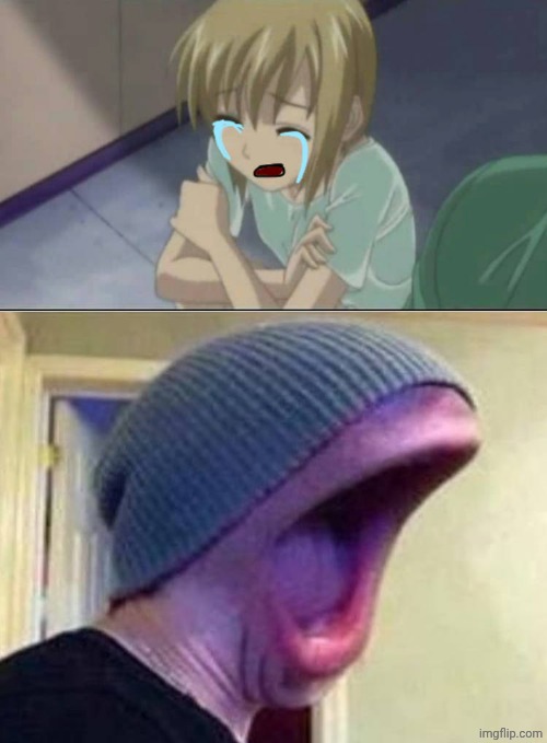 Me Ruining A Fill In Meme #481 | image tagged in ruin this fill in meme 481 | made w/ Imgflip meme maker