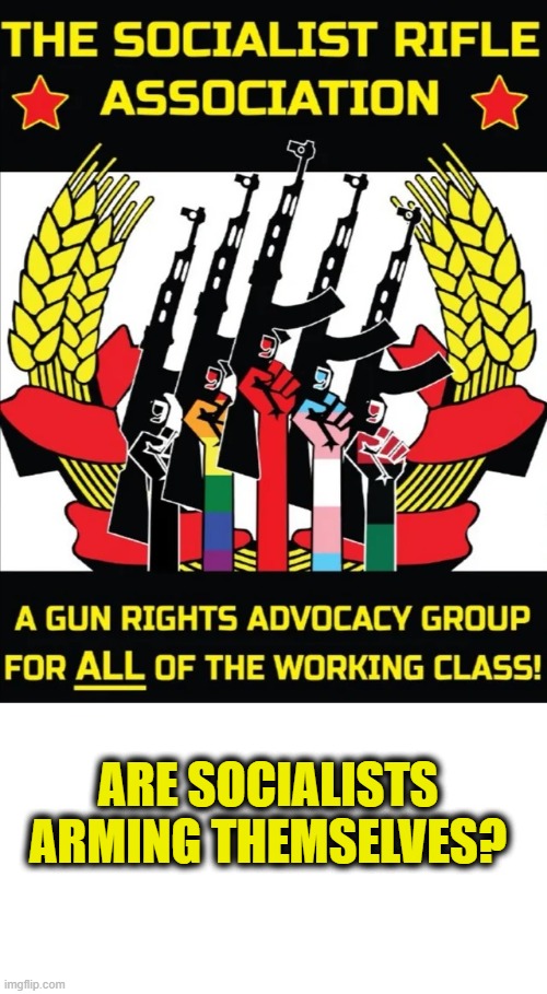 What happened to gun control? | ARE SOCIALISTS
ARMING THEMSELVES? | image tagged in gun control,socialism | made w/ Imgflip meme maker